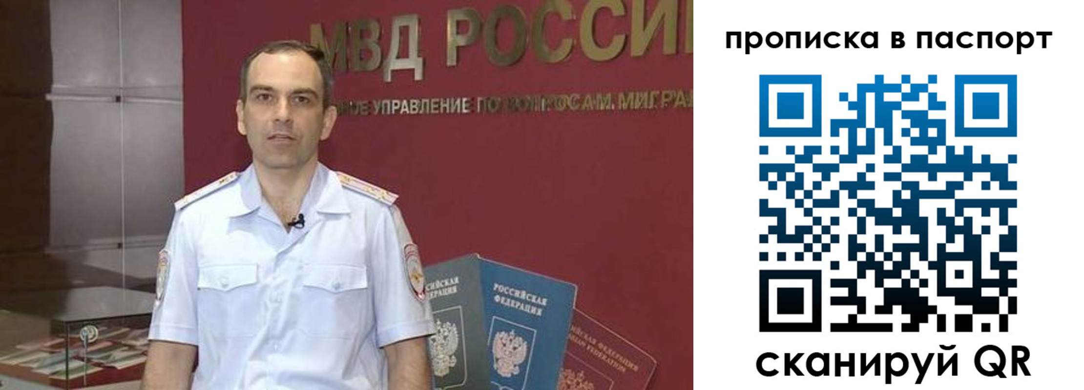 прописка поиск в Звенигово